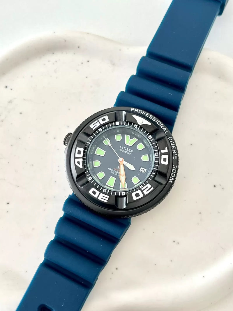 Citizen Aqualand ECO-ZILLA