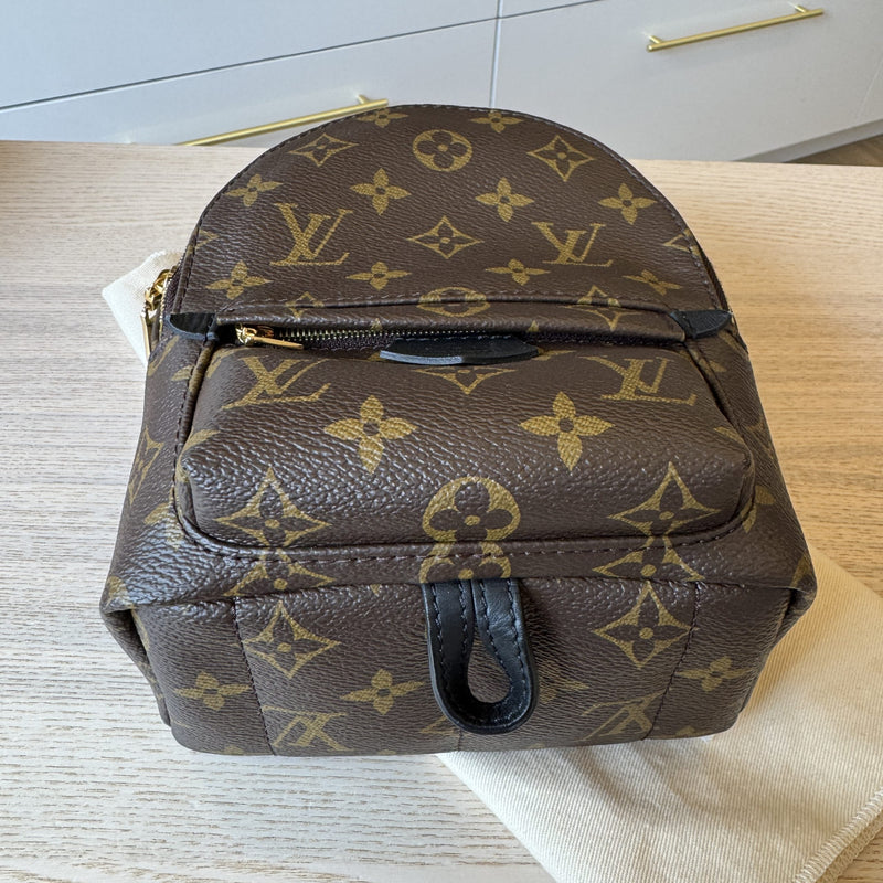 Mochila Louis Vuitton Palm Springs Monogram Mini