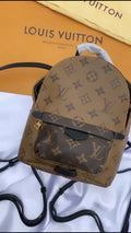 Mochila Louis Vuitton Palm Springs Monogram Mini