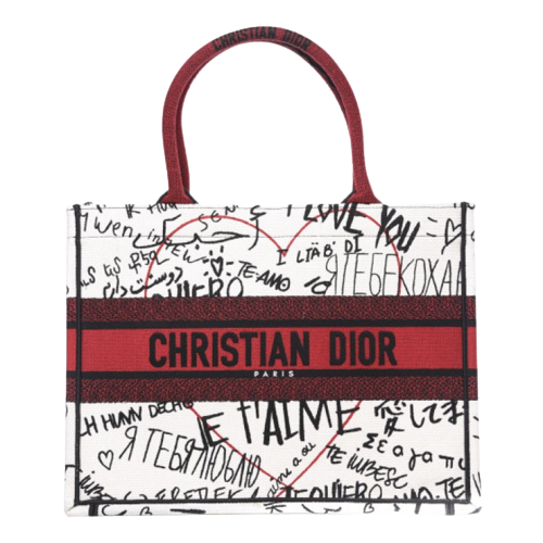 Bolsa Chritian Dior Book Tote Canvas Dioramur Graffiti