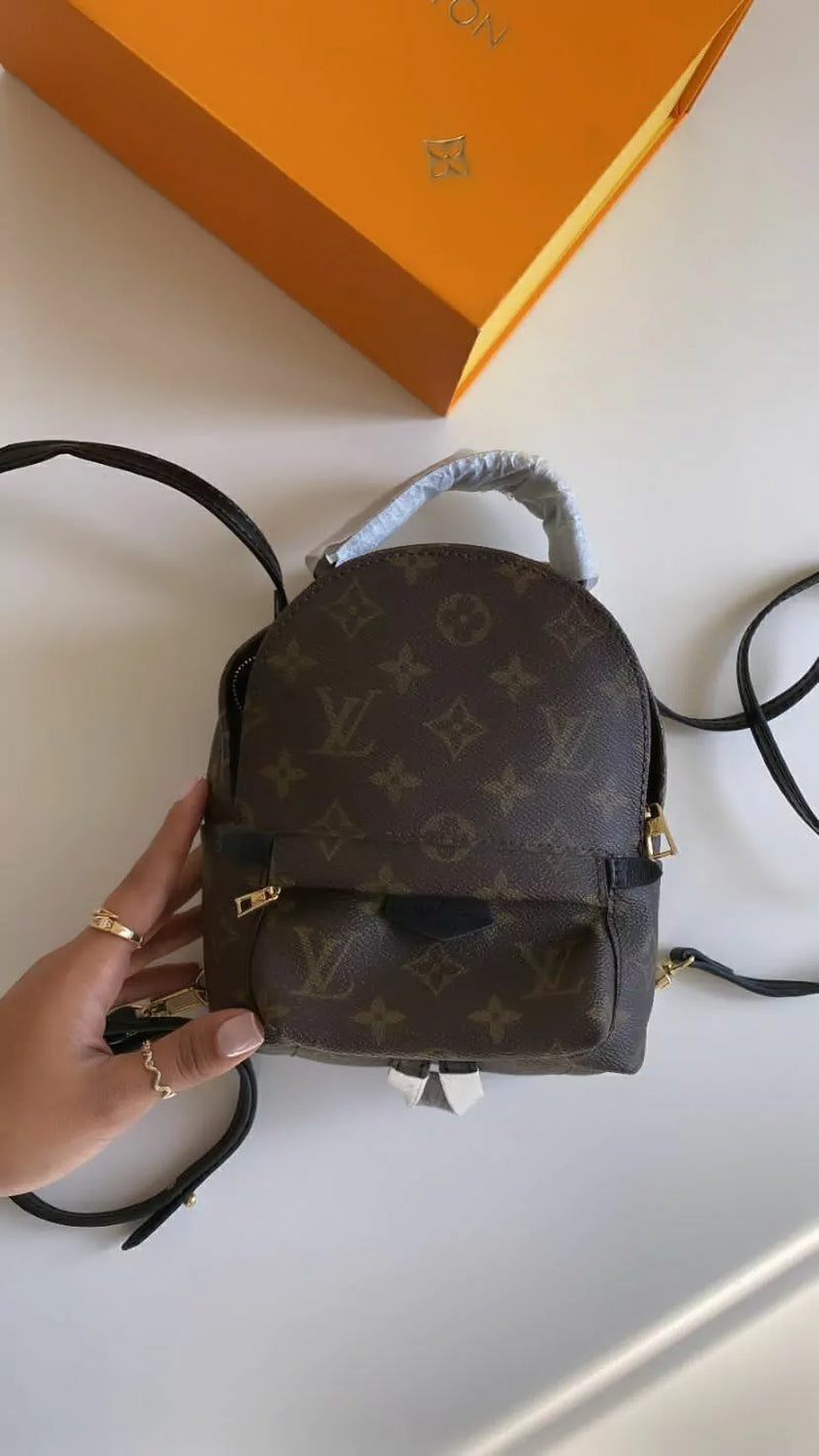 Mochila Louis Vuitton Palm Springs Monogram Mini