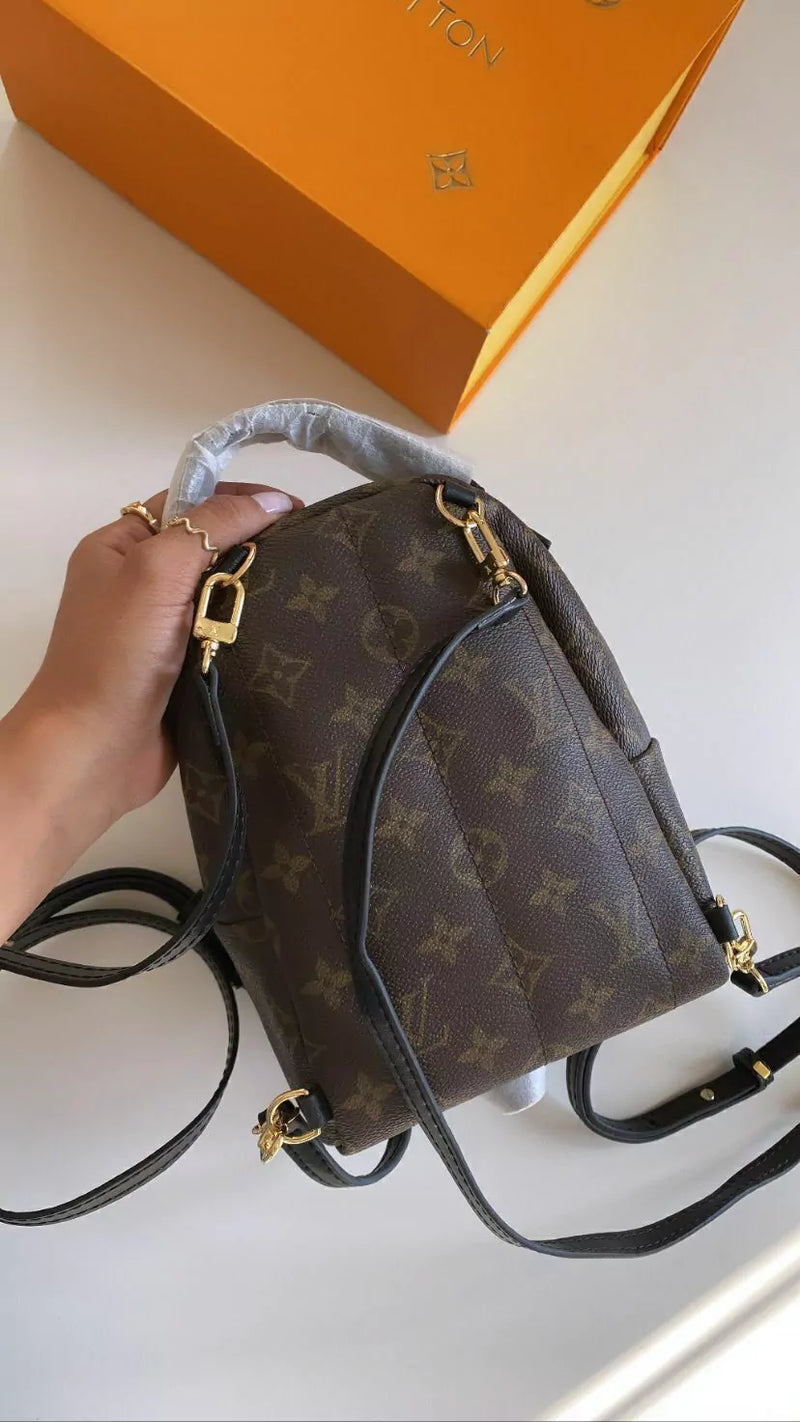 Mochila Louis Vuitton Palm Springs Monogram Mini