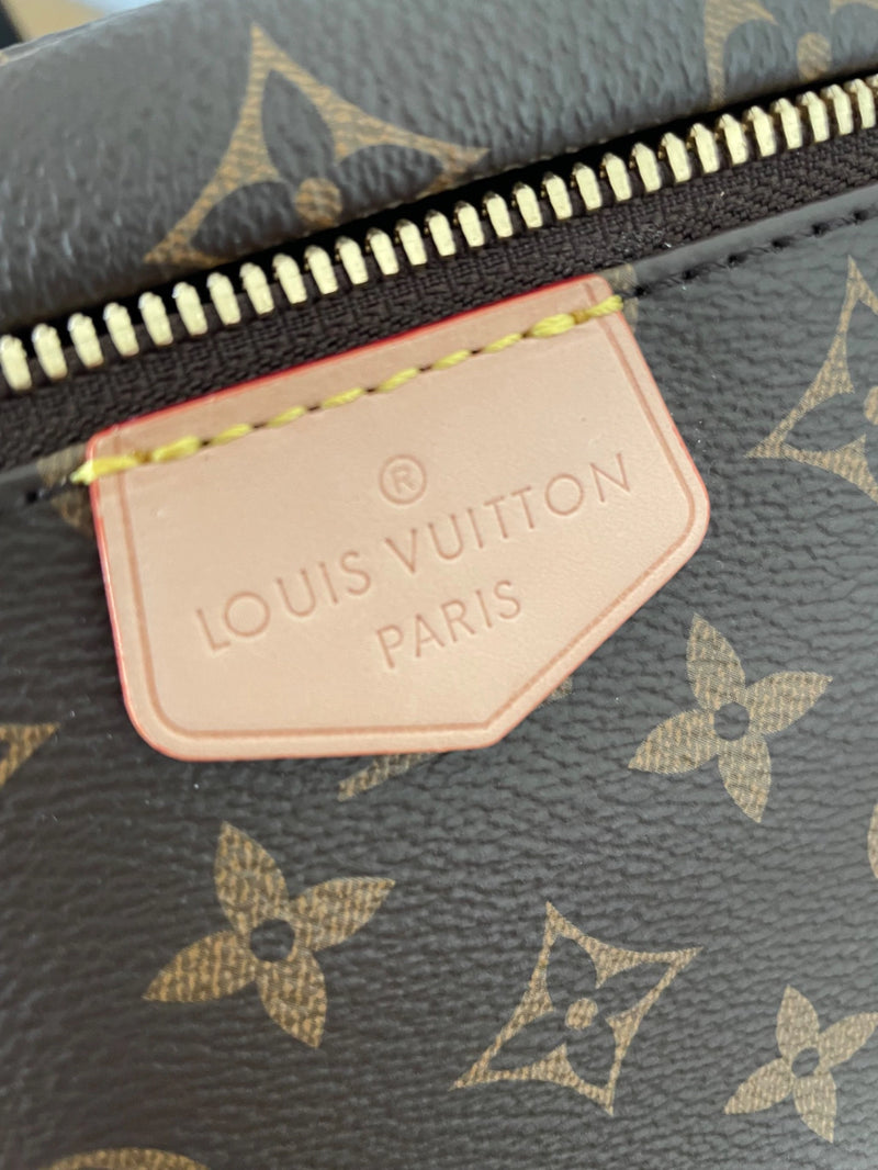 Pochete Louis Vuitton Bumbag